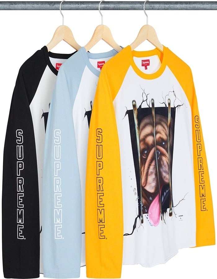 Dog Raglan L/S Top